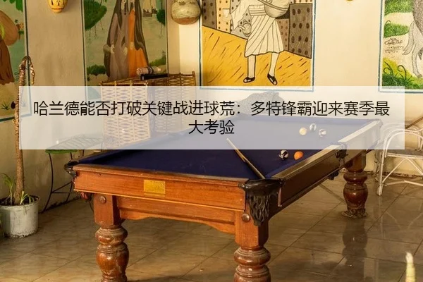 ha-lan-de-neng-fou-da-po-guan-jian-zhan-jin-qiu-huang-duo-te-feng-ba-ying-lai-sai-ji-zui-da-kao-yan-2-455.jpg